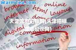 天津政府招标网(天津招标信息公示网)