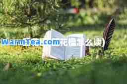 蓝花楹(蓝花楹怎么读)