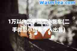 1万以内二手微型小货车(二手微型小货车个人出售)