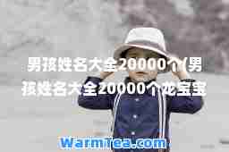 男孩姓名大全20000个(男孩姓名大全20000个龙宝宝)