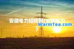 安徽电力招标网(安徽电力)