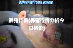 养猪行情(养猪行情分析今日猪价)
