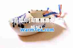 周易算(周易算免费测婚姻)