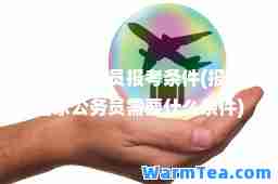 国家公务员报考条件(报考国家公务员需要什么条件)
