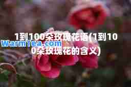 1到100朵玫瑰花语(1到100朵玫瑰花的含义)