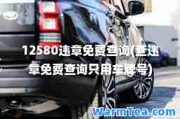 12580违章免费查询(查违章免费查询只用车牌号)