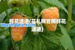鲜花速递(花礼网官网鲜花速递)