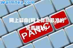 网上算(网上算最准的免费网站)