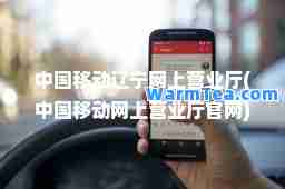 中国移动辽宁网上营业厅(中国移动网上营业厅官网)