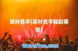 派对名字(派对名字能起哪些)