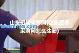 山东招标采购网(山东招标采购网怎么注册)