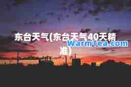 东台天气(东台天气40天)