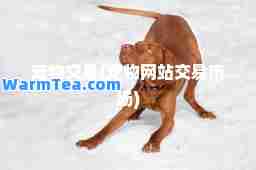 宠物交易(宠物网站交易市场)