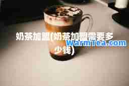 奶茶加盟(奶茶加盟需要多少钱)