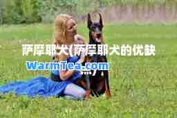 萨摩耶犬(萨摩耶犬的优缺点)