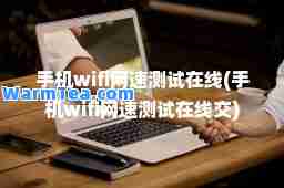 手机wifi网速测试在线(手机wifi网速测试在线交)