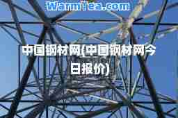 中国钢材网(中国钢材网今日报价)