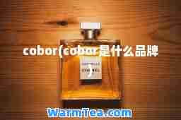 cobor(cobor是什么品牌)