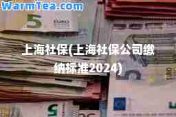 上海社保(上海社保公司缴纳标准2024)