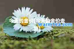 今天的金价(今天的金价走势)