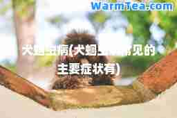 犬蛔虫病(犬蛔虫病常见的主要症状有)