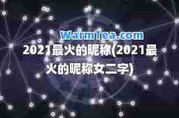 2021最火的昵称(2021最火的昵称女二字)