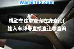 机动车违章查询在线查询(输入车牌号直接查违章查询)