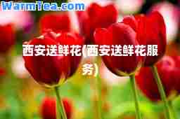 西安送鲜花(西安送鲜花服务)