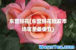 东营鲜花(东营鲜花批发市场哪里最便宜)