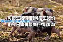 河南生猪价格(河南生猪价格今日猪价行情2023)