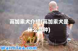 高加索犬介绍(高加索犬是什么品种)