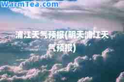 浦江天气预报(明天浦江天气预报)