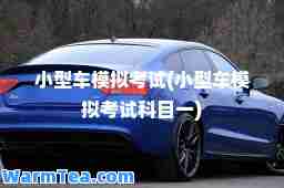 小型车模拟考试(小型车模拟考试科目一)