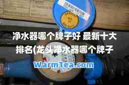 净水器哪个牌子好 十大排名(龙头净水器哪个牌子好 十大排名)