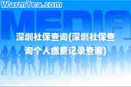 深圳社保查询(深圳社保查询个人缴费记录查询)