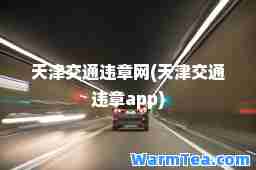 天津交通违章网(天津交通违章app)