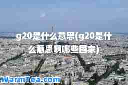 g20是什么意思(g20是什么意思啊哪些国家)