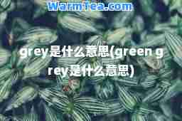 grey是什么意思(green grey是什么意思)