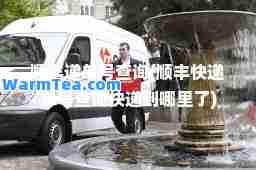 顺丰递单号查询(顺丰快递单号查询快递到哪里了)