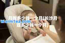 月嫂多少钱一个月(长沙月嫂多少钱一个月)