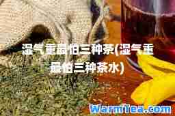 湿气重最怕三种茶(湿气重最怕三种茶水)