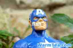 flsh