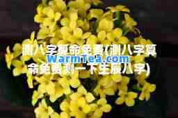 测八字算免费(测八字算免费测一下生辰八字)