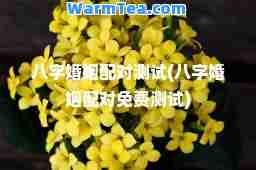 八字婚姻配对测试(八字婚姻配对免费测试)