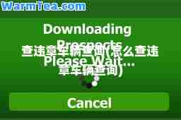 查违章车辆查询(怎么查违章车辆查询)