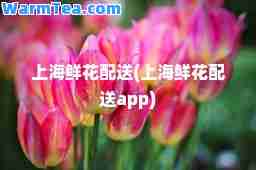 上海鲜花配送(上海鲜花配送app)