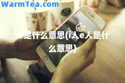 ie是什么意思(i人e人是什么意思)