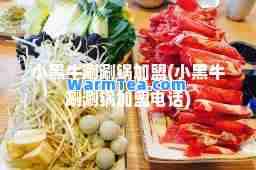 小黑牛涮涮锅加盟(小黑牛涮涮锅加盟电话)
