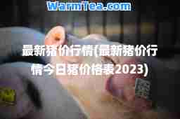 猪价行情(猪价行情今日猪价格表2023)