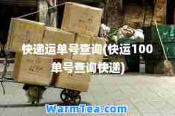 快递运单号查询(快运100单号查询快递)
